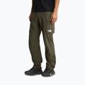 Herren-Trekkinghose The North Face Exploration Cargo taupe green