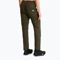 Damen-Trekkinghose The North Face Exploration Regular Straight Convertible taupe green 3