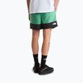 Herren-Trekkingshorts The North Face Leynar dimmed algae/tnf black 3