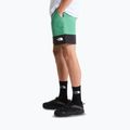 Herren-Trekkingshorts The North Face Leynar dimmed algae/tnf black 4