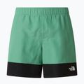 Herren-Trekkingshorts The North Face Leynar dimmed algae/tnf black 9