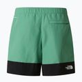 Herren-Trekkingshorts The North Face Leynar dimmed algae/tnf black 10