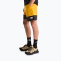 Herren-Trekkingshorts The North Face Leynar gold/tnf black 4