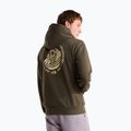Herrenpullover The North Face Monte Regular Hoodie Graphic new taupe green 3