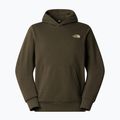 Herrenpullover The North Face Monte Regular Hoodie Graphic new taupe green 4