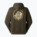 Herrenpullover The North Face Monte Regular Hoodie Graphic new taupe green 5