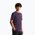 Herren-Shirt The North Face Evolution Box NSE endless dusk