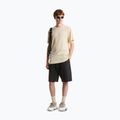 Herren T-Shirt The North Face Evolution Simple Dome desert stone 2
