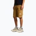 Herren-Trekkingshorts The North Face Exploration Cargo Shorts utility brown