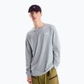Herren-Trekkingshirt mit langen Ärmeln The North Face Evolution Simple Dome Regular LS Tee tnf pale grey heather