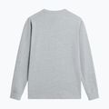 Herren-Trekkingshirt mit langen Ärmeln The North Face Evolution Simple Dome Regular LS Tee tnf pale grey heather 5