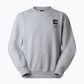 Sweatshirt The North Face Celebration Relaxed Crew Graphic tnf light grey heather