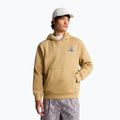 The North Face Mountain Celebration Relaxed Hoodie khaki stone 3