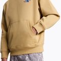 The North Face Mountain Celebration Relaxed Hoodie khaki stone 9