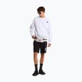 Herren-Trekkingshorts The North Face Box Nse Light Regular Shorts black 2