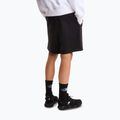 Herren-Trekkingshorts The North Face Box Nse Light Regular Shorts black 3
