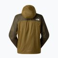 Herren-Windjacke The North Face Ridgelite FF Wind cedar/new taupe green 6