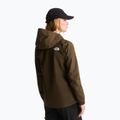 Damen-Softshelljacke The North Face Quest Mono taupe green 3