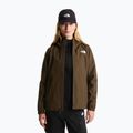 Damen-Softshelljacke The North Face Quest Mono taupe green 5