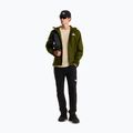 Herren-Softshelljacke The North Face Quest Mono woodland green 2