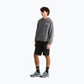 Herrenpullover The North Face Oxara Hooded Fleece smoked pearl 2