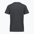 Shirt Herren Smartwool Lunar Bear Active SS Graphic Tee charcoal heather 2