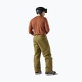 Herren Funktionsshirt langärmlig Smartwool Merino 250 Baselayer Crew Boxed burnt sienna 2