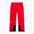 Herren Skihose The North Face Chakal elevation red 5
