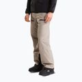 Herren Skihose The North Face Chakal stone slab