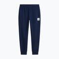 Herrenhose The North Face Evo Box Half Dome Regular Tappered summit navy 5