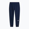 Herrenhose The North Face Evo Box Half Dome Regular Tappered summit navy 6