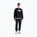 Herrenhose The North Face Evo Box Half Dome Regular Tappered tnf black 2