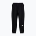 Herrenhose The North Face Evo Box Half Dome Regular Tappered tnf black 5
