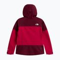 Damen-Regenjacke The North Face Gtx Jazzi lali guran/burgundy cru 6