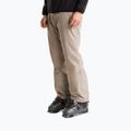 Herren Skihose The North Face Descendit stone slab