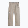 Herren Skihose The North Face Descendit stone slab 4