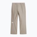 Herren Skihose The North Face Descendit stone slab 5