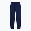Herrenhose The North Face Evolution Simple Dome Regular Joggers summit navy 4