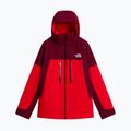 Herren-Skijacke The North Face Chakal elevation red/burgundy 5