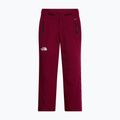 Damen Skihose The North Face Lenado burgundy crush