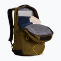 Cityrucksack The North Face Jester 28 l caraway seed/tnf black 4