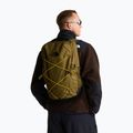 Cityrucksack The North Face Jester 28 l caraway seed/tnf black 6