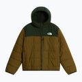 Gefütterte Kinderjacke The North Face Reversible Shasta FZ Hooded caraway seed/bo 6