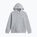 Kinder-Sweatshirt The North Face Evolution Simple Dome Pullover Hood tnf pale grey heather