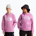 Kinder-Sweatshirt The Noryh Face Essential Drew Peak Hoodie hushed lavender 3