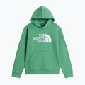 Kinder-Sweatshirt The Noryh Face Essential Drew Peak Hoodie dimmed algae
