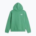 Kinder-Sweatshirt The Noryh Face Essential Drew Peak Hoodie dimmed algae 2