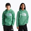 Kinder-Sweatshirt The Noryh Face Essential Drew Peak Hoodie dimmed algae 3