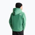 Kinder-Sweatshirt The Noryh Face Essential Drew Peak Hoodie dimmed algae 5