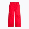 Kinder-Skihose The North Face Freedom Insulated elevation red 4